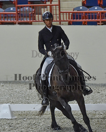 CWdressageII(8-21-16)1800