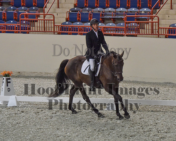 CWdressageII(8-21-16)0363
