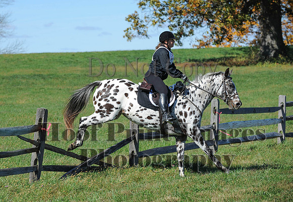 Cheshire(10-19-14)0029