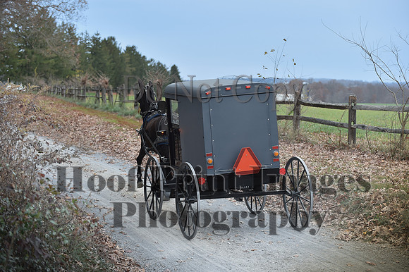 AndrewsBrHuntPace(11-10-24)0250