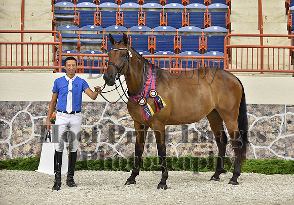 CWdressageI(8-20-16)1714