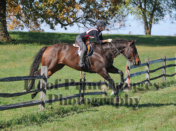 Cheshire(10-20-13)0538