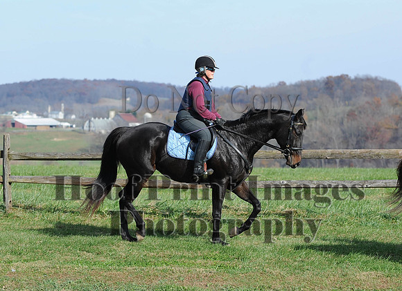 AndrewsBr(11-9-14)0277