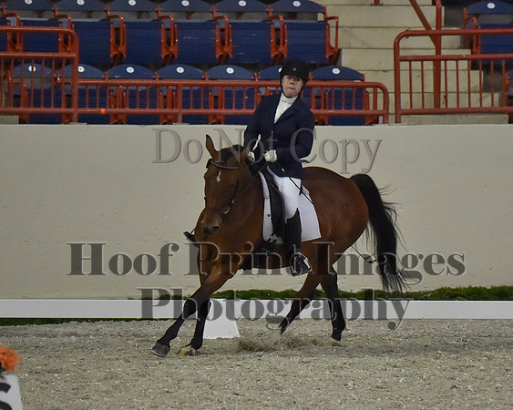 CWdressageII(8-21-16)1376