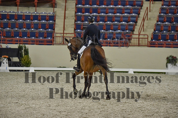 CWdressageI(8-20-16)1372
