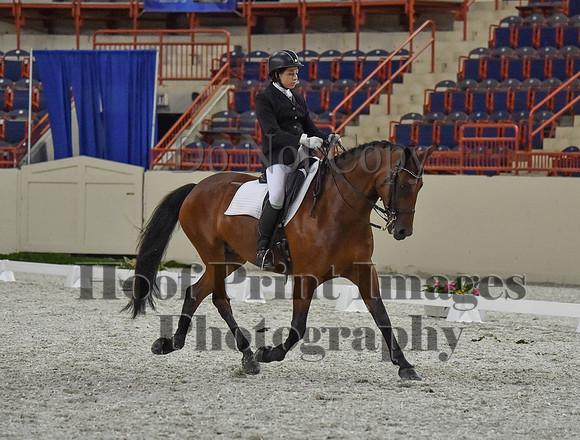 CWdressageI(8-20-16)1289