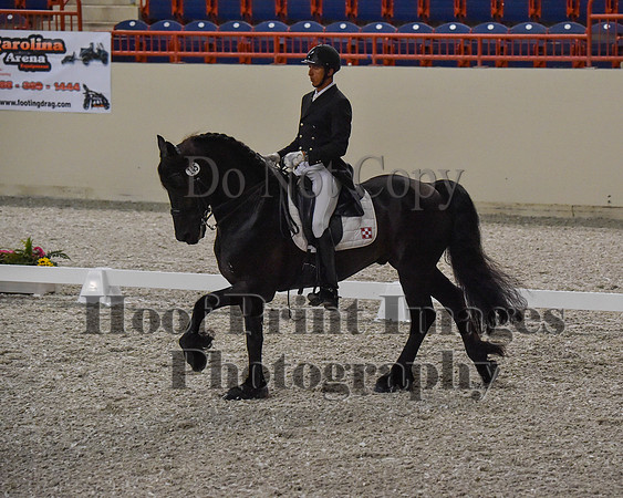 CWdressageII(8-21-16)0582