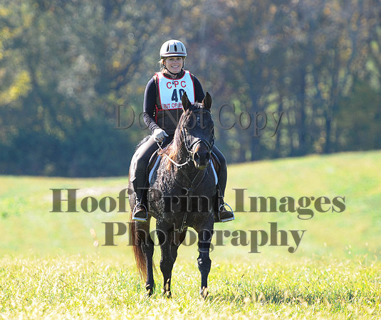 Cheshire(10-20-13)0593