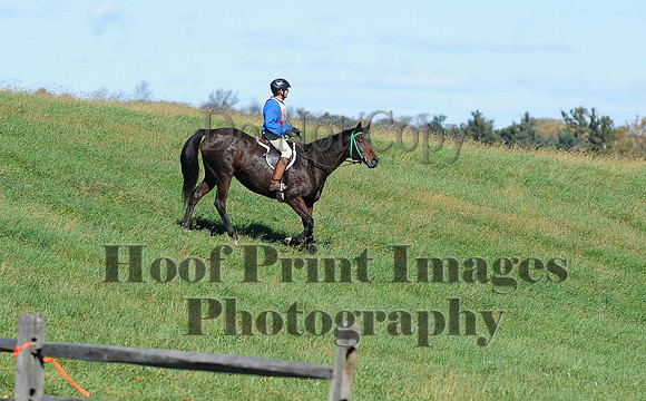 Cheshire(10-19-14)0128
