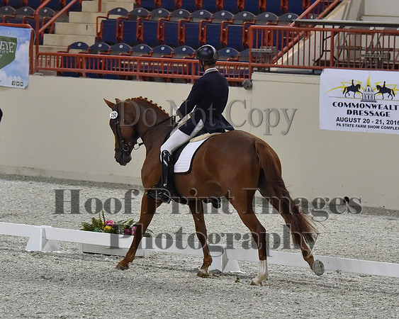 CWdressageII(8-21-16)1343
