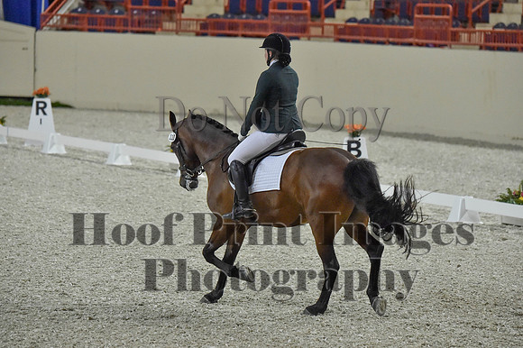 CWdressageI(8-20-16)0124