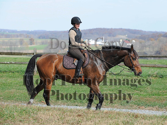 AndrewsBr(11-9-14)0266