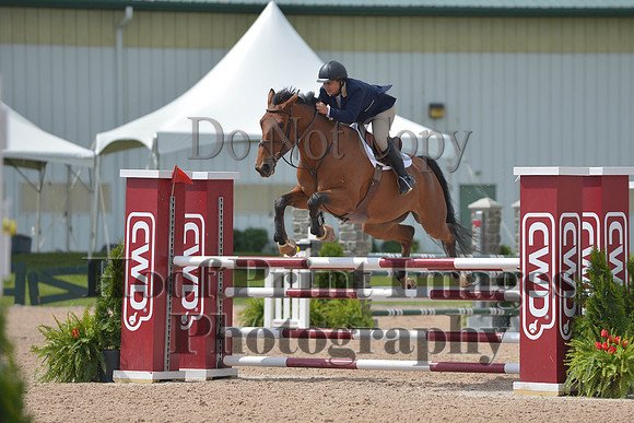 BRSa(5-17-14)HChAdJ0176