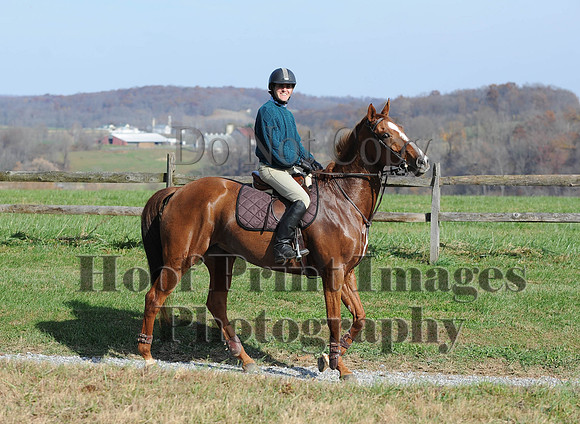 AndrewsBr(11-9-14)0263