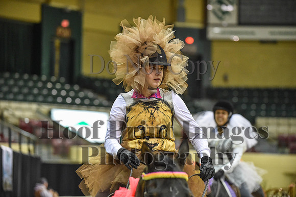 MidAtEqFest(11-14-15)1353