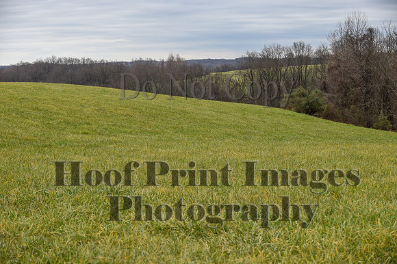 FairHillBFPC(11-27-20)0077