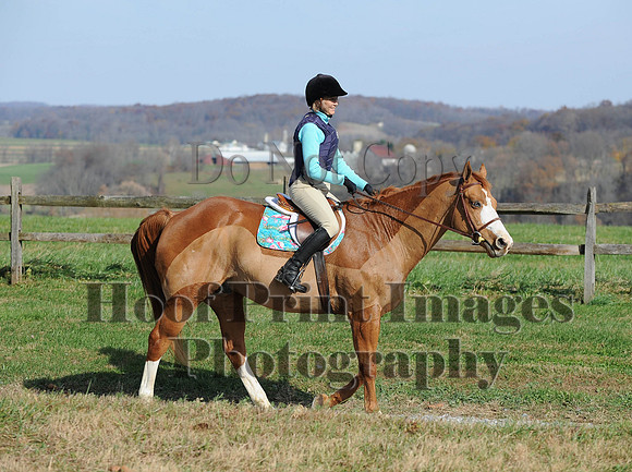 AndrewsBr(11-9-14)0342