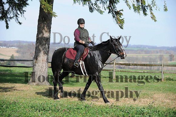 AndrewsBr(11-9-14)0201