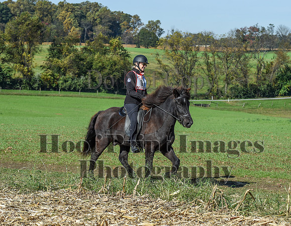 CheshirePC(10-18-20)0306