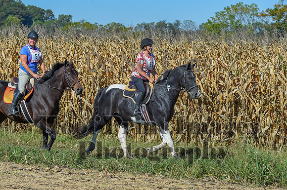 CheshirePonyClubPC(10-6-24)0219