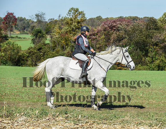 CheshirePC(10-18-20)0504