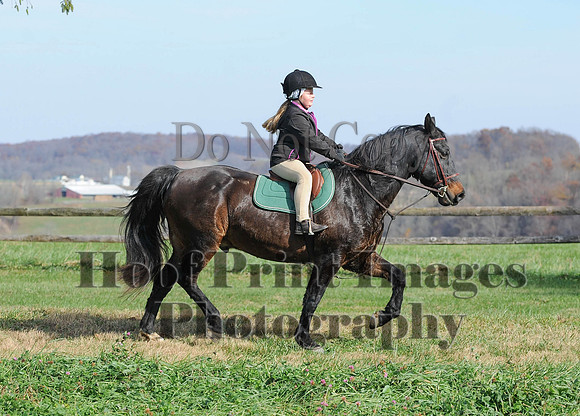 AndrewsBr(11-9-14)0077