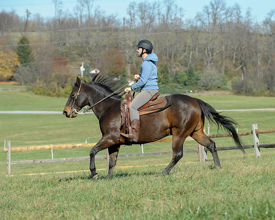 BHPC(11-15-15)0349
