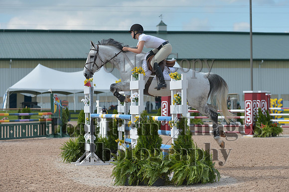BRSa(5-17-14)HChAdJ0080