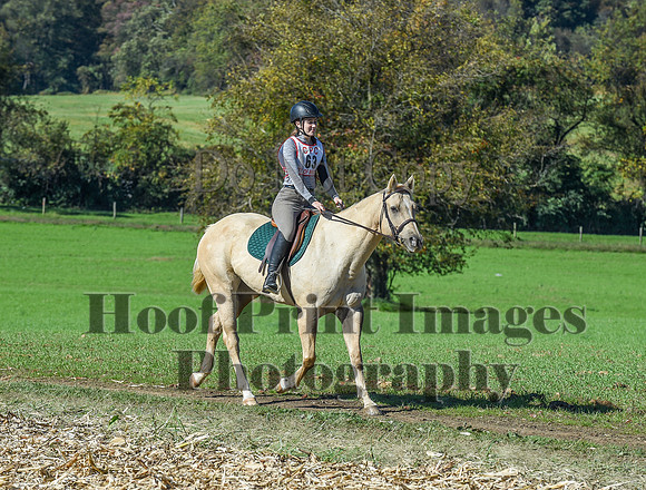 CheshirePC(10-18-20)0512