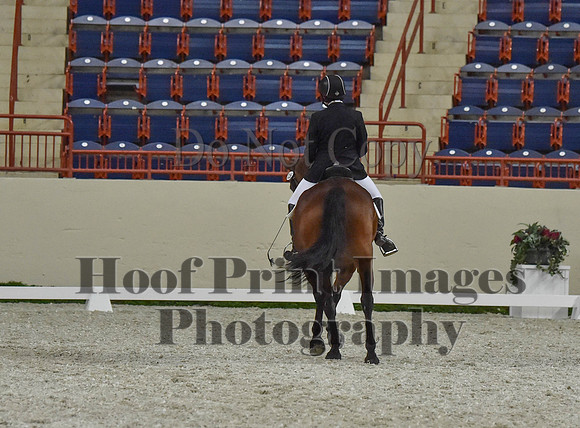 CWdressageI(8-20-16)1296