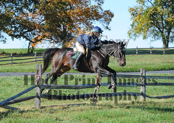 Cheshire(10-19-14)0388