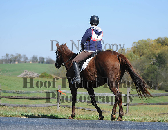 Cheshire(10-20-13)0226