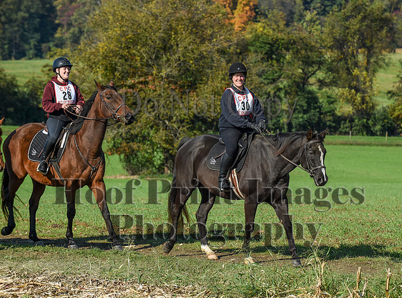 CheshirePC(10-18-20)0149