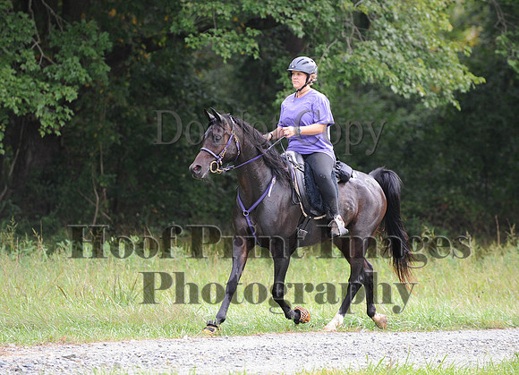 ChesapeakeCTR(9-20-14)0266
