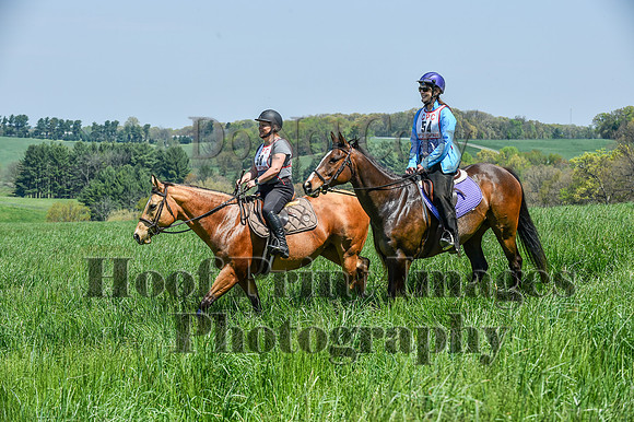CheshireSpringPC1(4-28-24)0475