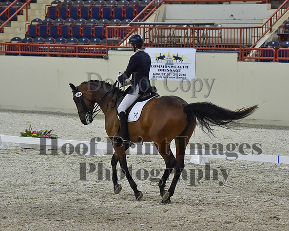 CWdressageII(8-21-16)2250