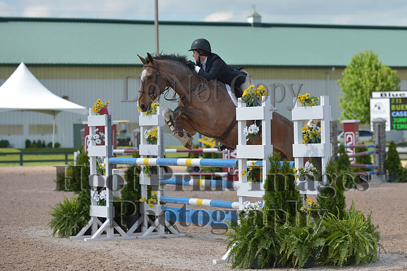 BRSa(5-17-14)HChAdJ0113
