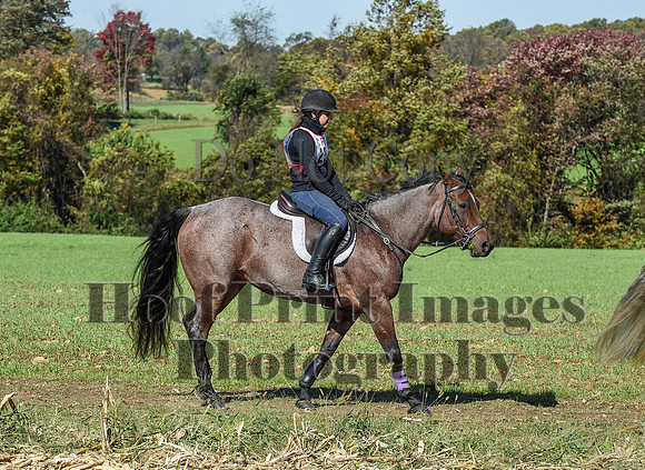 CheshirePC(10-18-20)0595