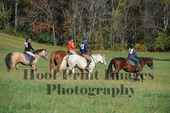 Cheshire(10-19-14)0360
