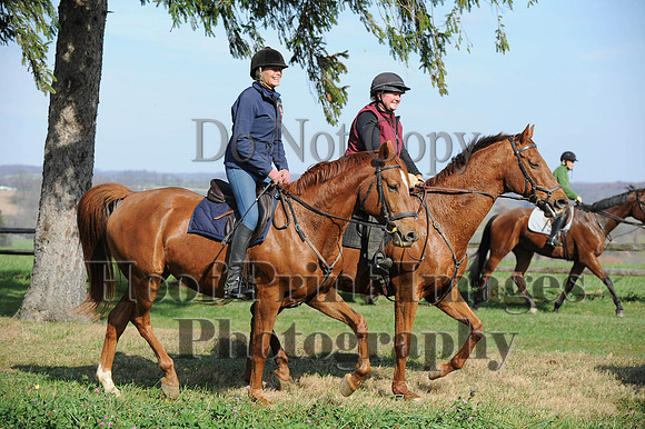AndrewsBr(11-9-14)0178