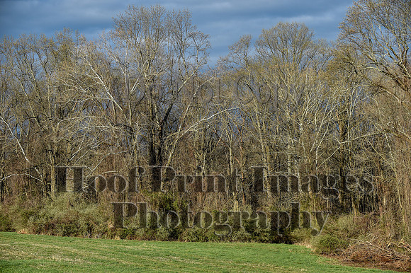 ChesapeakeSpring(4-10-22)0033