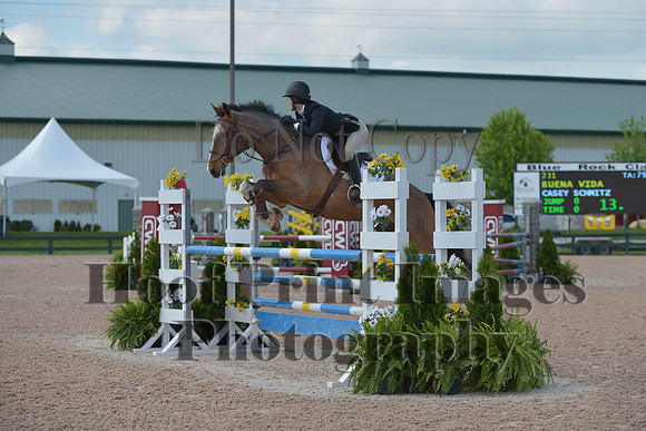 BRSa(5-17-14)HChAdJ0109