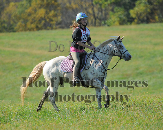 Cheshire(10-20-13)0687
