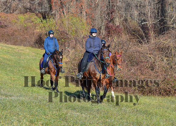 FairHillFallPC(11-30-24)0274