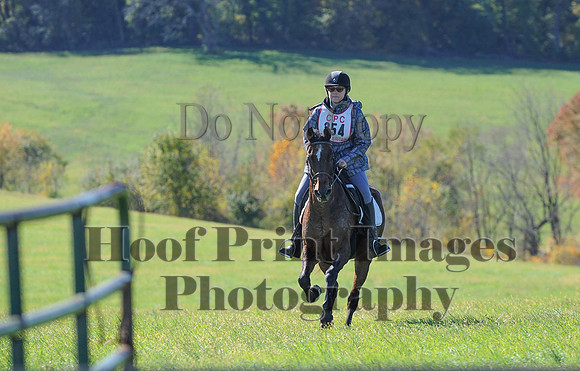 Cheshire(10-19-14)0072