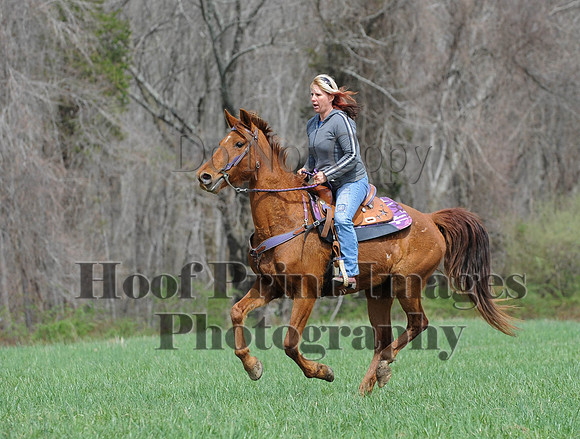 FairhillPC(4-18-14)0654