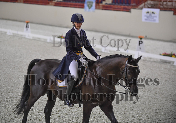 CWdressageI(8-20-16)1592
