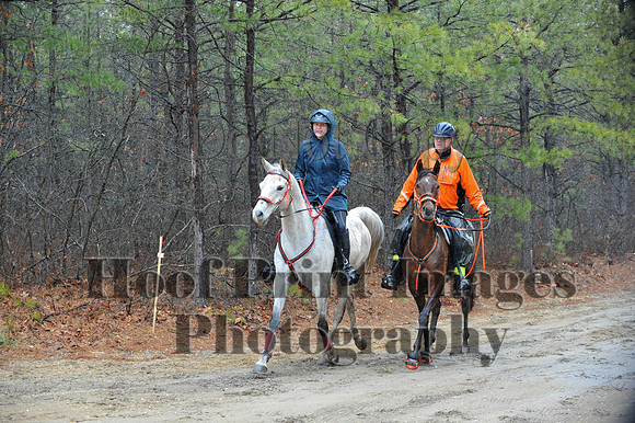 Rabbit(3-29-14)0326