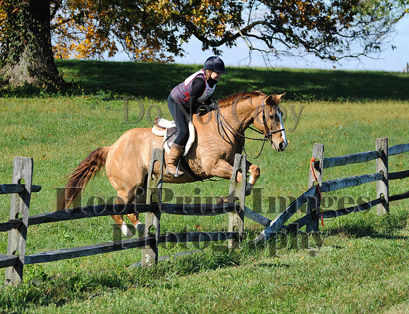 Cheshire(10-20-13)0427