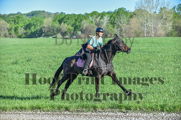ChesapeakeSpring(4-27-25)0193